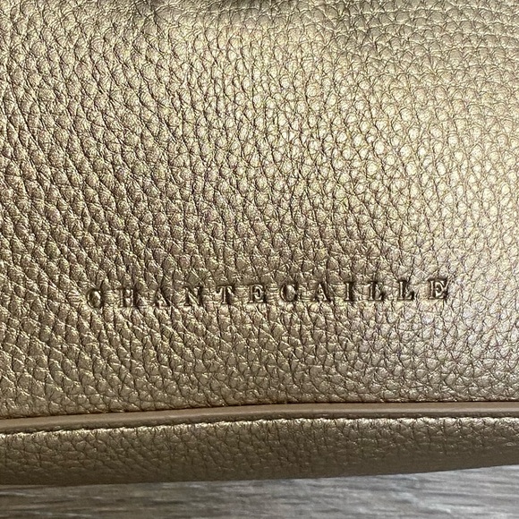 Chantecaille Mini Purse - Picture 4 of 11